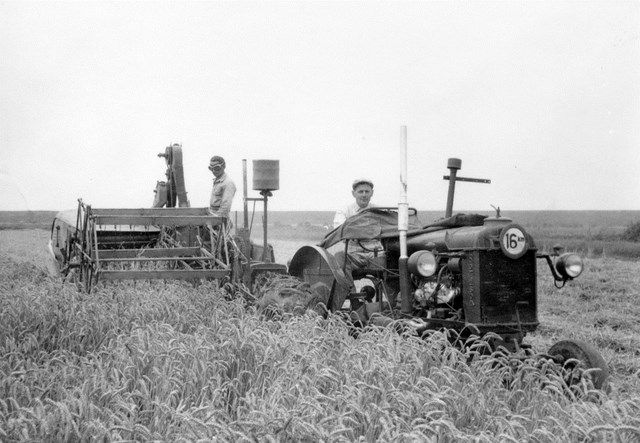 foto